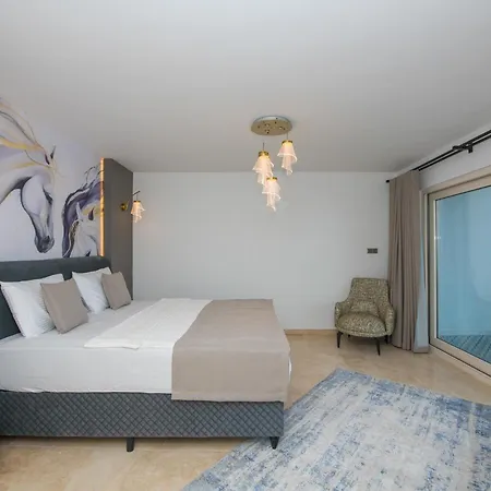 Bodrum'da Denize Sifir Muhtesem Boss 2