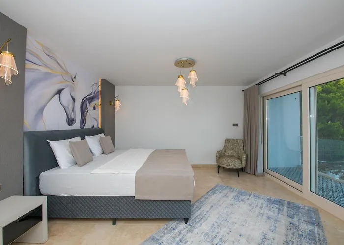 Bodrum'da Denize Sifir Muhtesem Boss 2